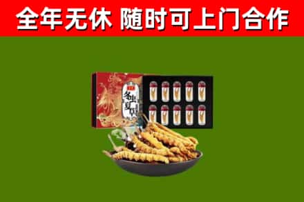 淮阴回收冬虫夏草价格